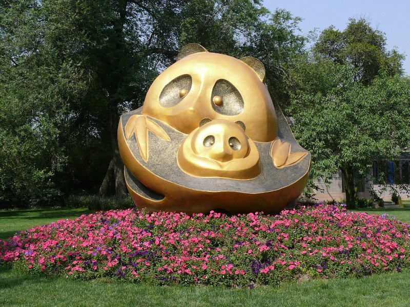 Pandas (001).jpg